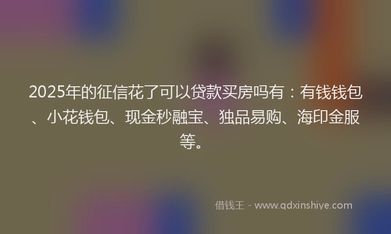 2025年的征信花了可以贷款买房吗有：有钱钱包、小花钱包、现金秒融宝、独品易购、海印金服等。
