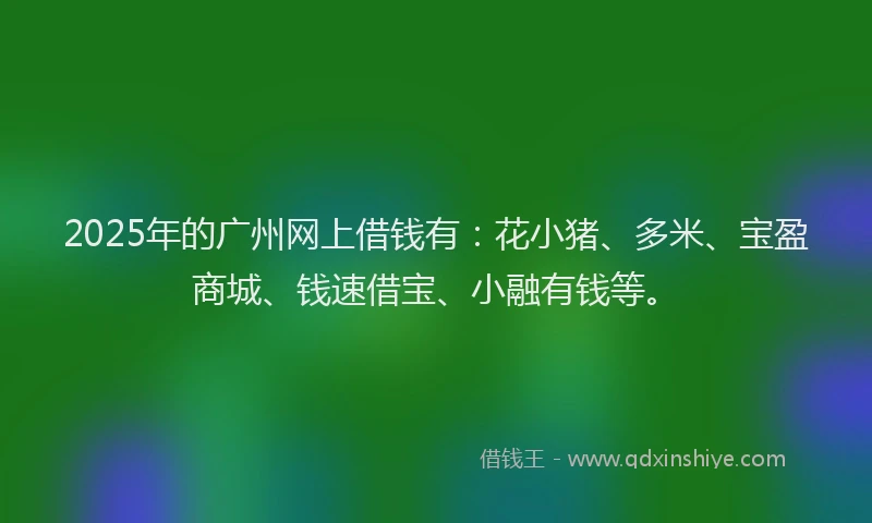 2025年的广州网上借钱有：花小猪、多米、宝盈商城、钱速借宝、小融有钱等。