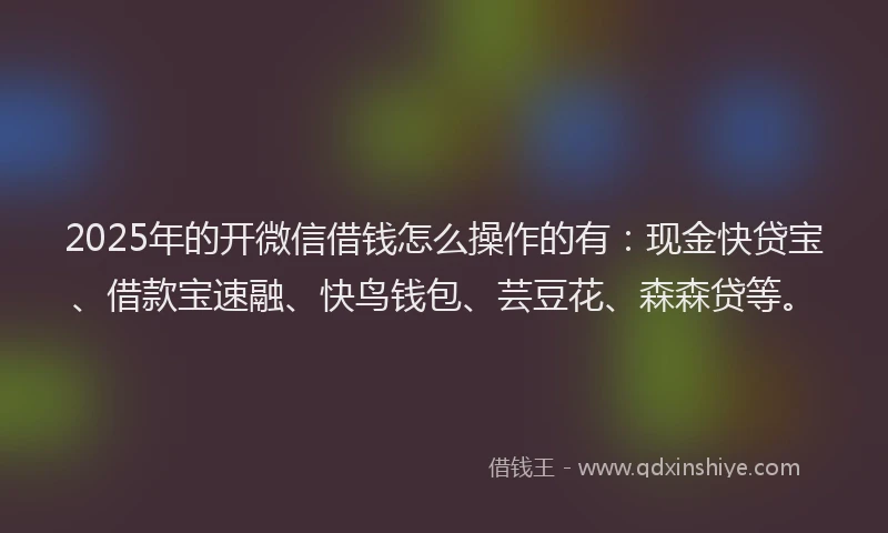 2025年的开微信借钱怎么操作的有：现金快贷宝、借款宝速融、快鸟钱包、芸豆花、森森贷等。