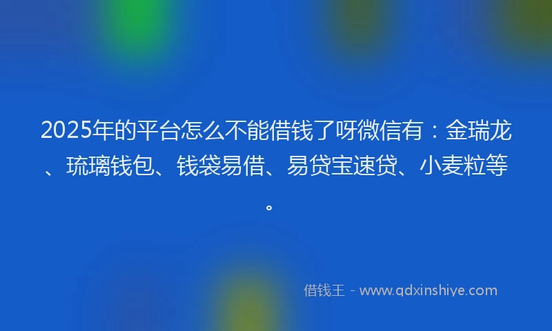 2025年的平台怎么不能借钱了呀微信有：金瑞龙、琉璃钱包、钱袋易借、易贷宝速贷、小麦粒等。