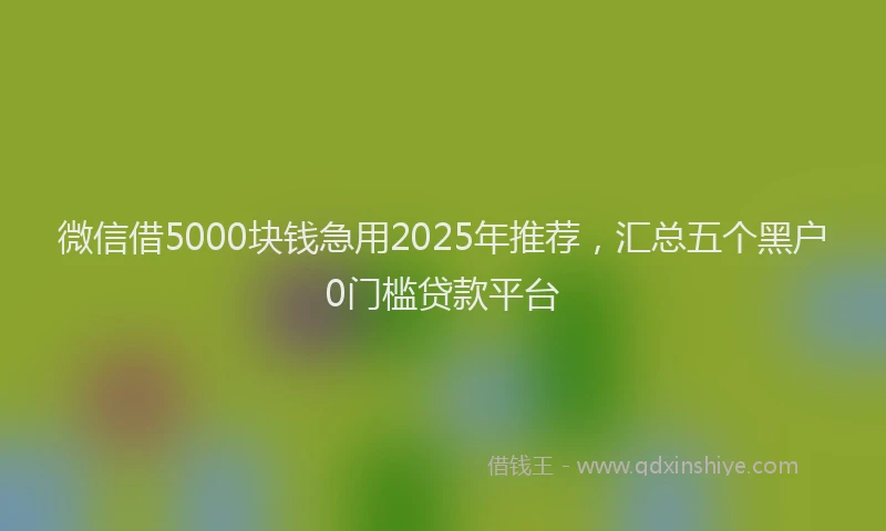微信借5000块钱急用2025年推荐，汇总五个黑户0门槛贷款平台