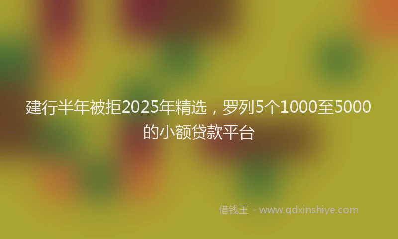 建行半年被拒2025年精选，罗列5个1000至5000的小额贷款平台