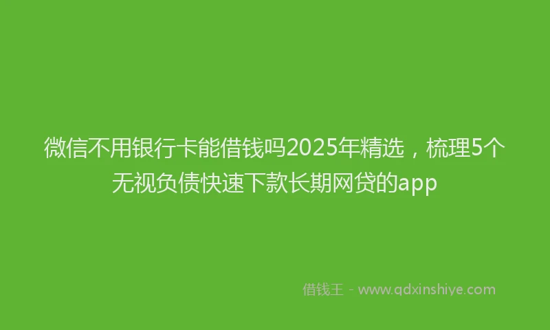 微信不用银行卡能借钱吗2025年精选，梳理5个无视负债快速下款长期网贷的app