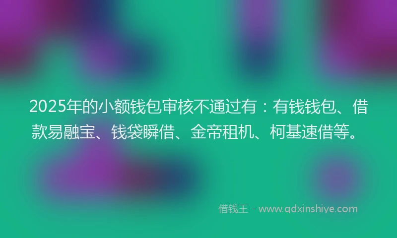 2025年的小额钱包审核不通过有：有钱钱包、借款易融宝、钱袋瞬借、金帝租机、柯基速借等。