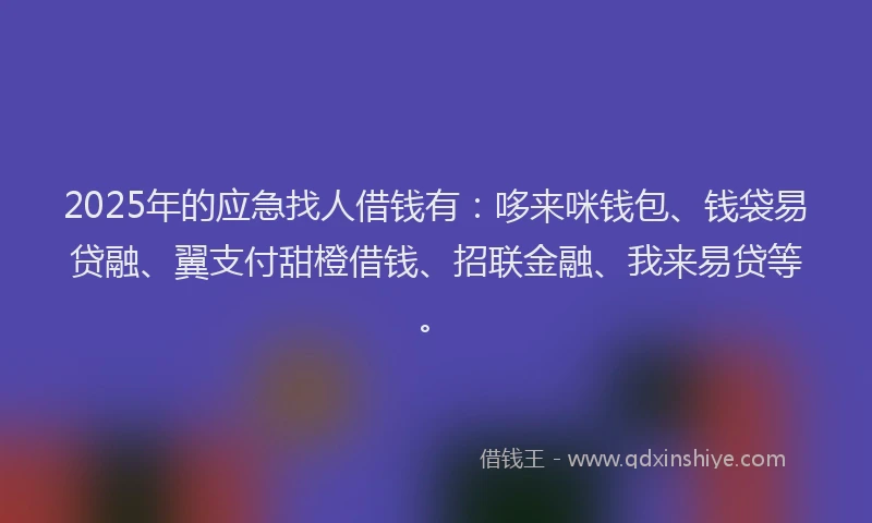 2025年的应急找人借钱有：哆来咪钱包、钱袋易贷融、翼支付甜橙借钱、招联金融、我来易贷等。