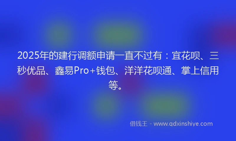 2025年的建行调额申请一直不过有：宜花呗、三秒优品、鑫易Pro+钱包、洋洋花呗通、掌上信用等。