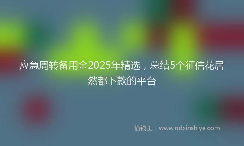 应急周转备用金2025年精选，总结5个征信花居然都下款的平台