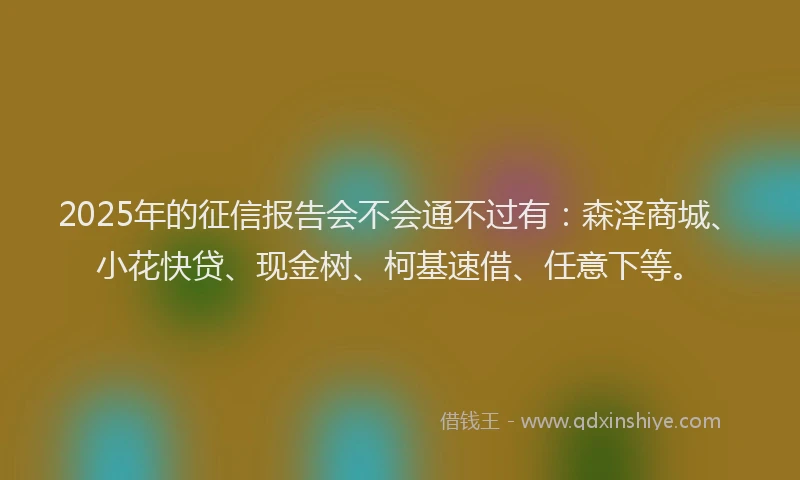2025年的征信报告会不会通不过有：森泽商城、小花快贷、现金树、柯基速借、任意下等。
