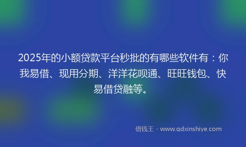 2025年的小额贷款平台秒批的有哪些软件有：你我易借、现用分期、洋洋花呗通、旺旺钱包、快易借贷融等。