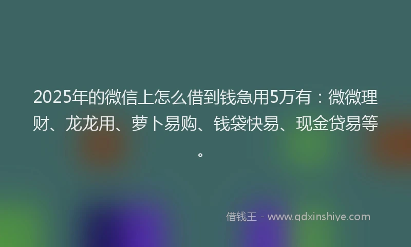 2025年的微信上怎么借到钱急用5万有：微微理财、龙龙用、萝卜易购、钱袋快易、现金贷易等。