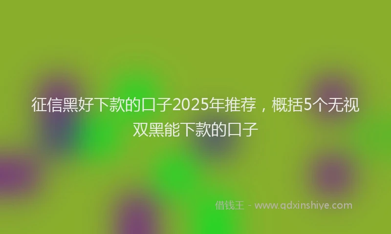 征信黑好下款的口子2025年推荐，概括5个无视双黑能下款的口子