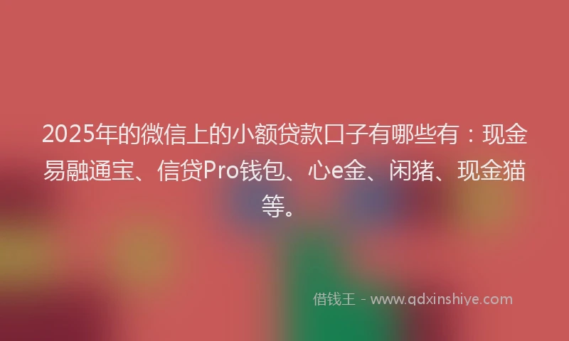 2025年的微信上的小额贷款口子有哪些有：现金易融通宝、信贷Pro钱包、心e金、闲猪、现金猫等。