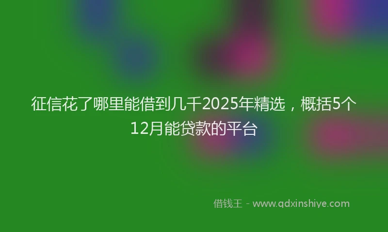 征信花了哪里能借到几千2025年精选，概括5个12月能贷款的平台