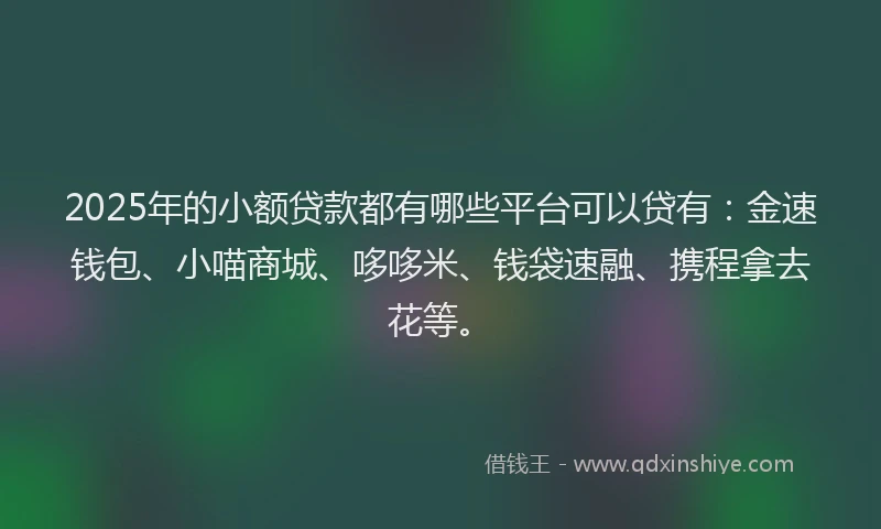 2025年的小额贷款都有哪些平台可以贷有：金速钱包、小喵商城、哆哆米、钱袋速融、携程拿去花等。