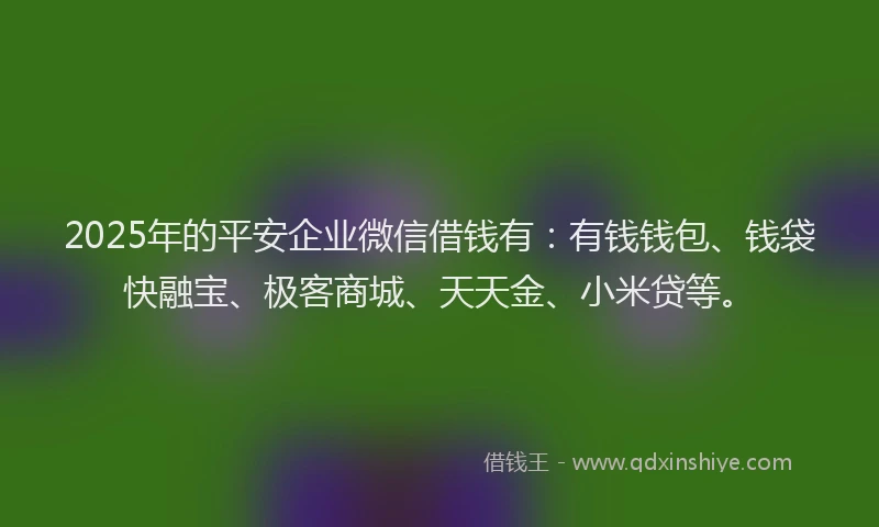 2025年的平安企业微信借钱有：有钱钱包、钱袋快融宝、极客商城、天天金、小米贷等。