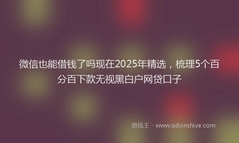 微信也能借钱了吗现在2025年精选，梳理5个百分百下款无视黑白户网贷口子
