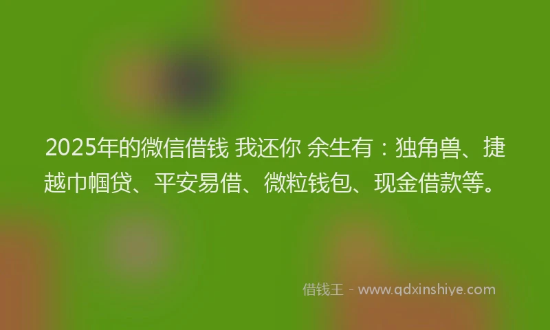 2025年的微信借钱 我还你 余生有：独角兽、捷越巾帼贷、平安易借、微粒钱包、现金借款等。