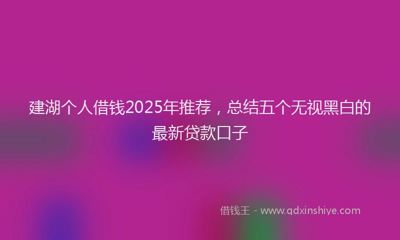 建湖个人借钱2025年推荐，总结五个无视黑白的最新贷款口子