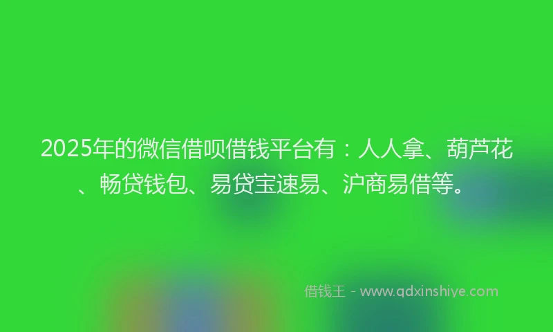 2025年的微信借呗借钱平台有：人人拿、葫芦花、畅贷钱包、易贷宝速易、沪商易借等。