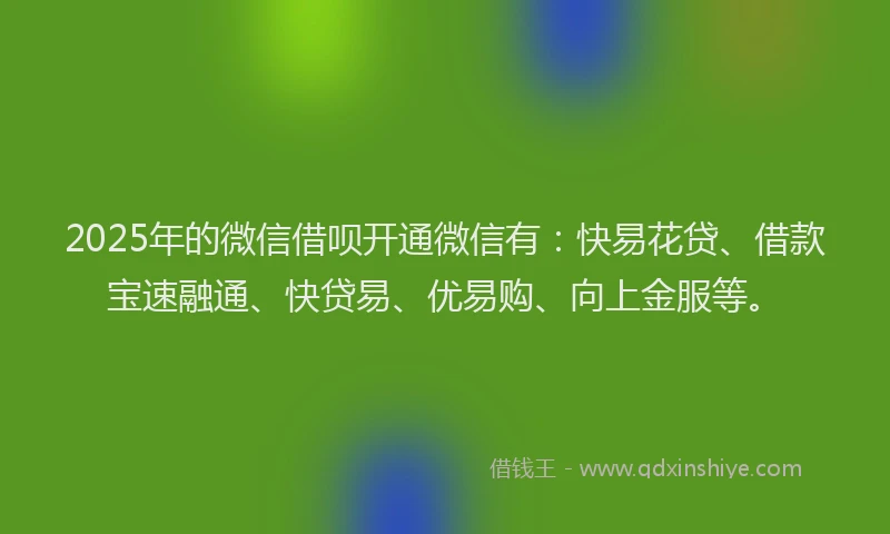 2025年的微信借呗开通微信有：快易花贷、借款宝速融通、快贷易、优易购、向上金服等。