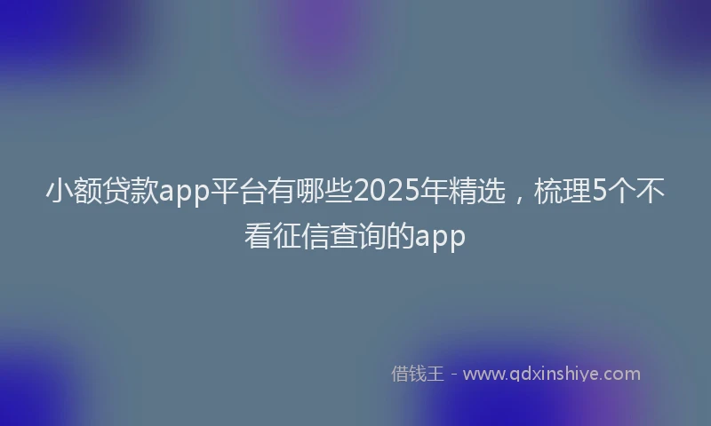小额贷款app平台有哪些2025年精选，梳理5个不看征信查询的app