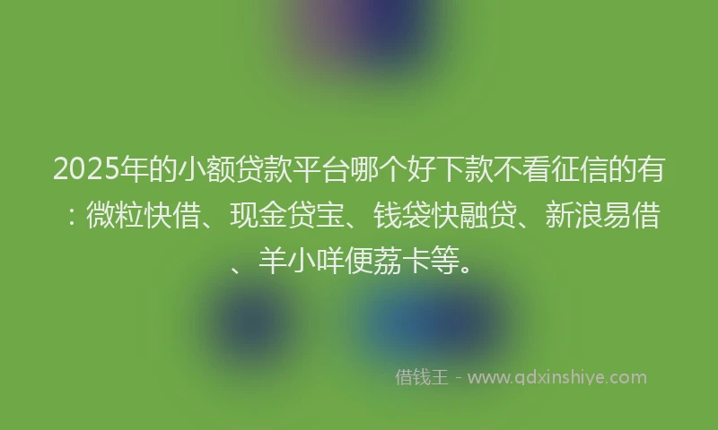 2025年的小额贷款平台哪个好下款不看征信的有：微粒快借、现金贷宝、钱袋快融贷、新浪易借、羊小咩便荔卡等。