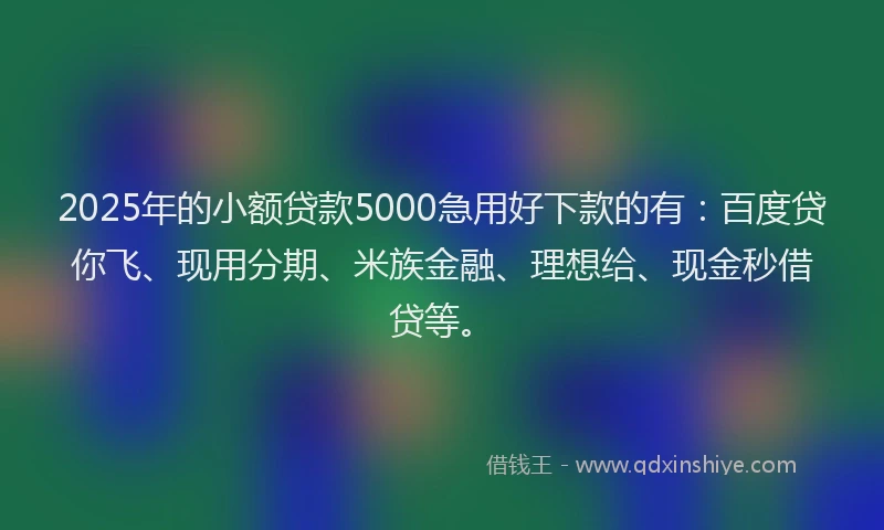 2025年的小额贷款5000急用好下款的有：百度贷你飞、现用分期、米族金融、理想给、现金秒借贷等。