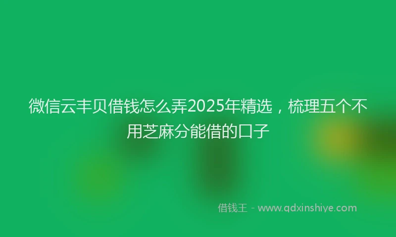 微信云丰贝借钱怎么弄2025年精选，梳理五个不用芝麻分能借的口子