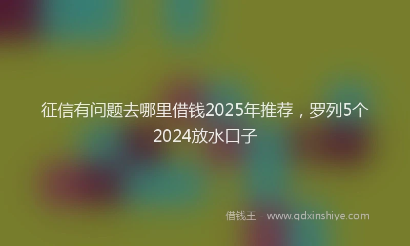 征信有问题去哪里借钱2025年推荐，罗列5个2024放水口子