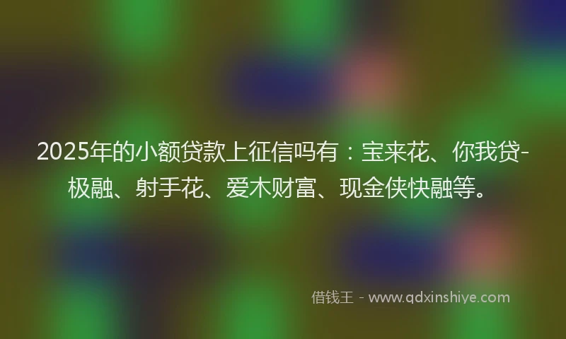 2025年的小额贷款上征信吗有：宝来花、你我贷-极融、射手花、爱木财富、现金侠快融等。