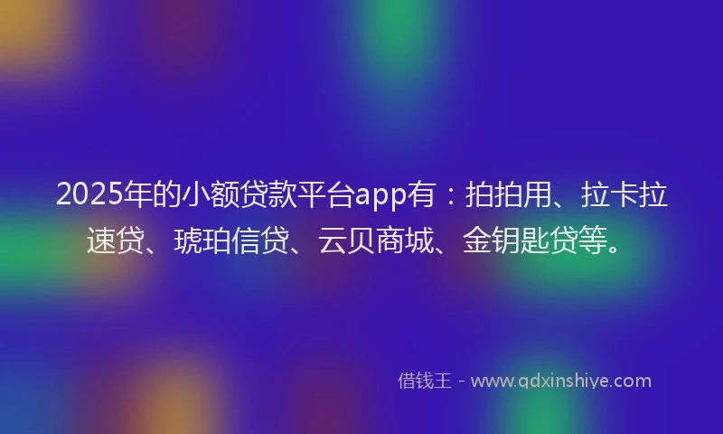 2025年的小额贷款平台app有：拍拍用、拉卡拉速贷、琥珀信贷、云贝商城、金钥匙贷等。