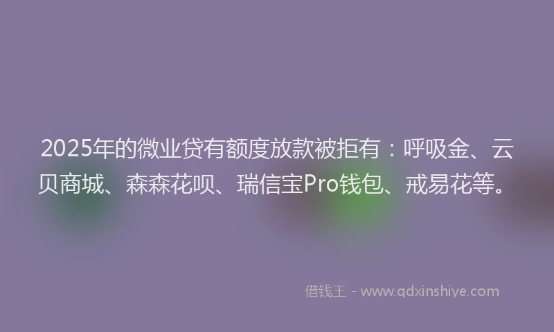 2025年的微业贷有额度放款被拒有：呼吸金、云贝商城、森森花呗、瑞信宝Pro钱包、戒易花等。