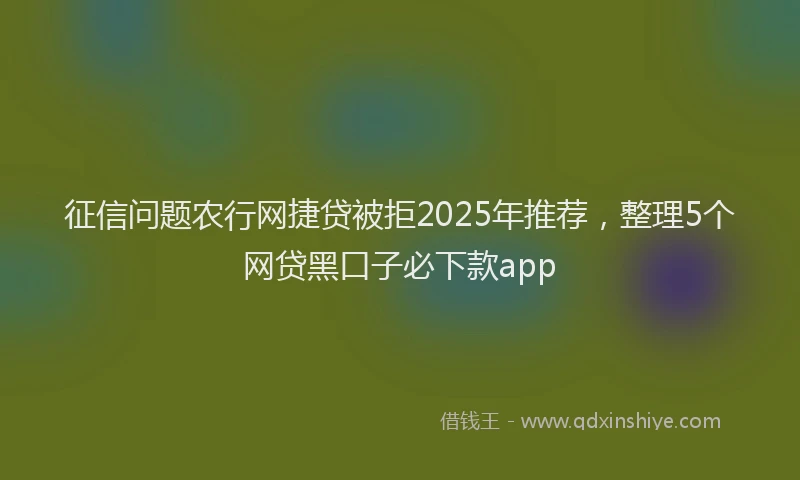征信问题农行网捷贷被拒2025年推荐，整理5个网贷黑口子必下款app