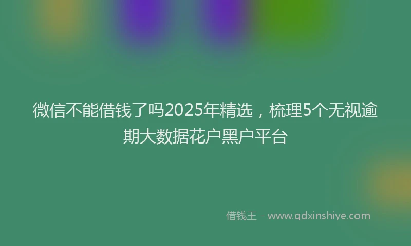 微信不能借钱了吗2025年精选，梳理5个无视逾期大数据花户黑户平台