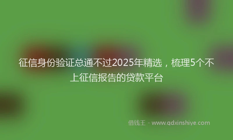 征信身份验证总通不过2025年精选，梳理5个不上征信报告的贷款平台