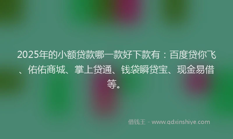2025年的小额贷款哪一款好下款有：百度贷你飞、佑佑商城、掌上贷通、钱袋瞬贷宝、现金易借等。