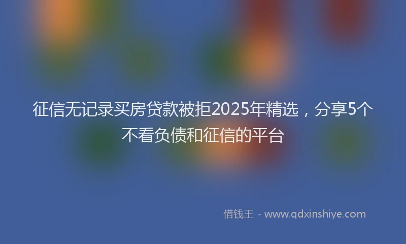 征信无记录买房贷款被拒2025年精选，分享5个不看负债和征信的平台