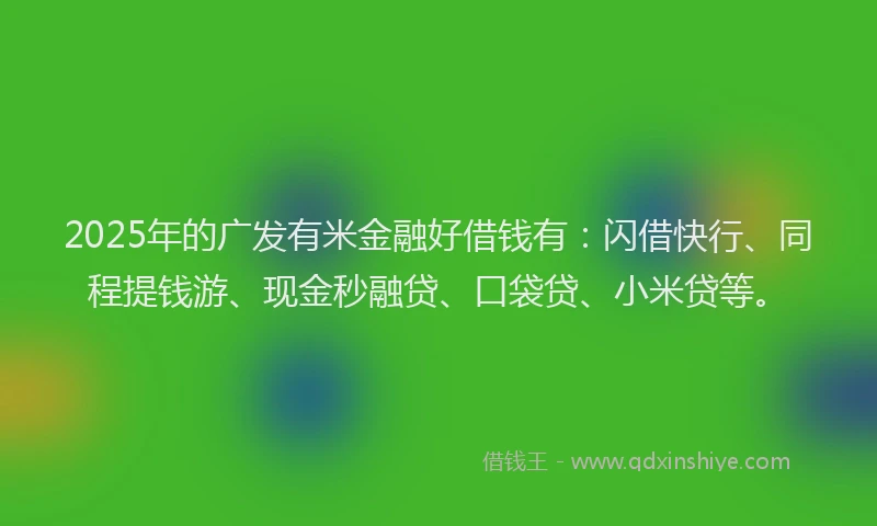 2025年的广发有米金融好借钱有：闪借快行、同程提钱游、现金秒融贷、口袋贷、小米贷等。