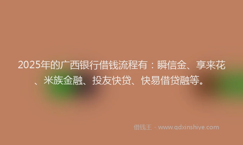 2025年的广西银行借钱流程有：瞬信金、享来花、米族金融、投友快贷、快易借贷融等。