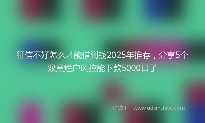 征信不好怎么才能借到钱2025年推荐，分享5个双黑烂户风控能下款5000口子