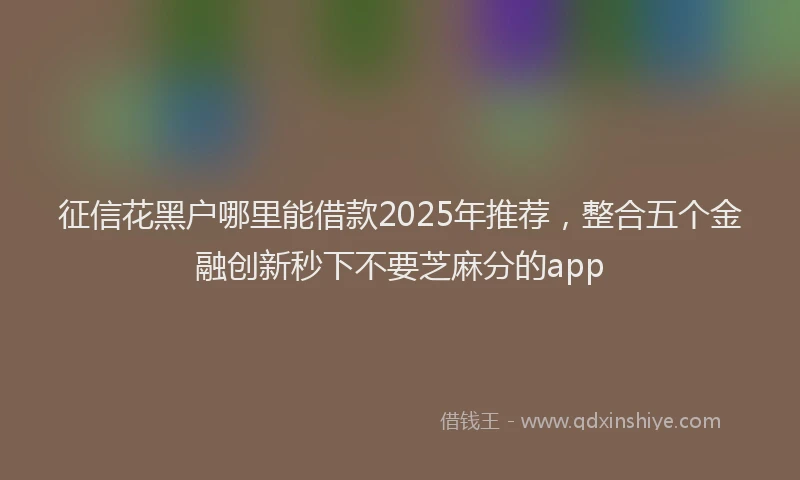 征信花黑户哪里能借款2025年推荐，整合五个金融创新秒下不要芝麻分的app