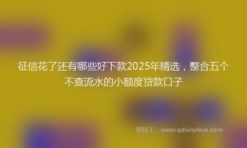 征信花了还有哪些好下款2025年精选，整合五个不查流水的小额度贷款口子