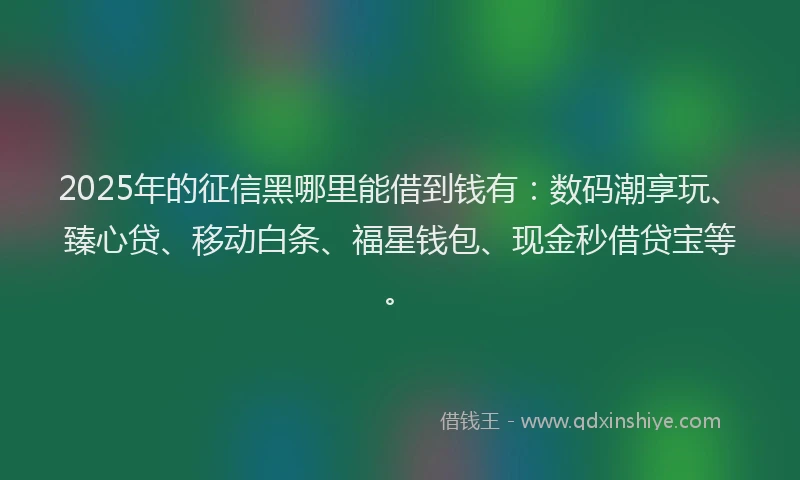 2025年的征信黑哪里能借到钱有：数码潮享玩、臻心贷、移动白条、福星钱包、现金秒借贷宝等。