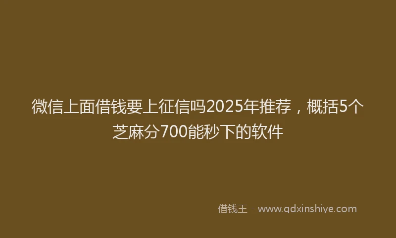 微信上面借钱要上征信吗2025年推荐，概括5个芝麻分700能秒下的软件