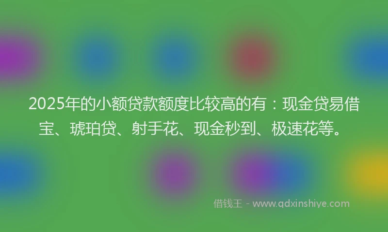 2025年的小额贷款额度比较高的有：现金贷易借宝、琥珀贷、射手花、现金秒到、极速花等。