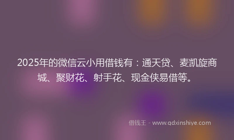 2025年的微信云小用借钱有：通天贷、麦凯旋商城、聚财花、射手花、现金侠易借等。