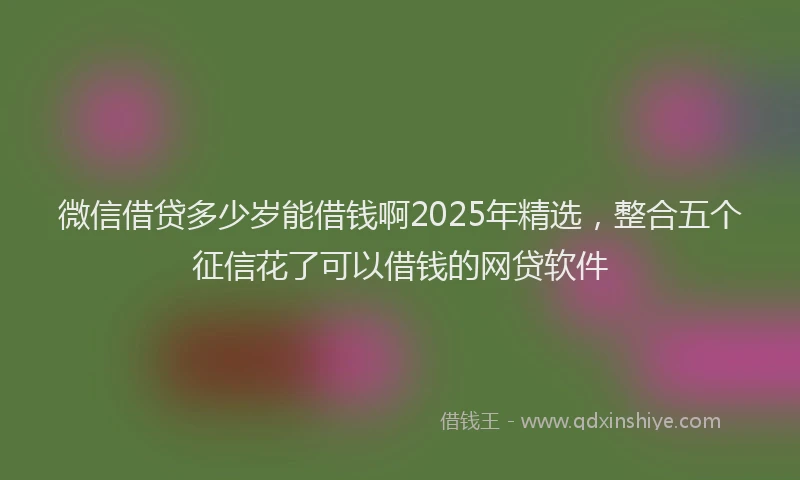 微信借贷多少岁能借钱啊2025年精选，整合五个征信花了可以借钱的网贷软件