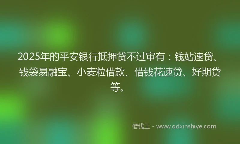 2025年的平安银行抵押贷不过审有：钱站速贷、钱袋易融宝、小麦粒借款、借钱花速贷、好期贷等。