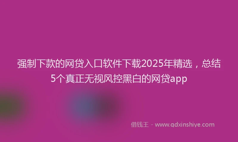 强制下款的网贷入口软件下载2025年精选，总结5个真正无视风控黑白的网贷app