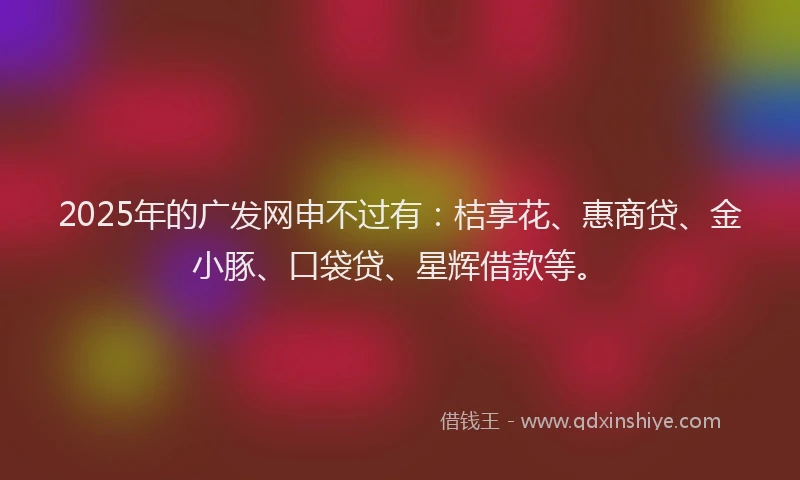 2025年的广发网申不过有：桔享花、惠商贷、金小豚、口袋贷、星辉借款等。